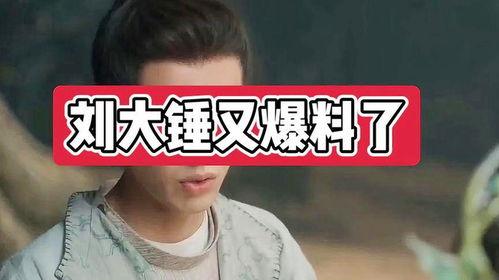 刘大锤最新爆料一览图片,揭秘娱乐圈幕后真相 第2张 刘大锤最新爆料一览图片,揭秘娱乐圈幕后真相 第2张